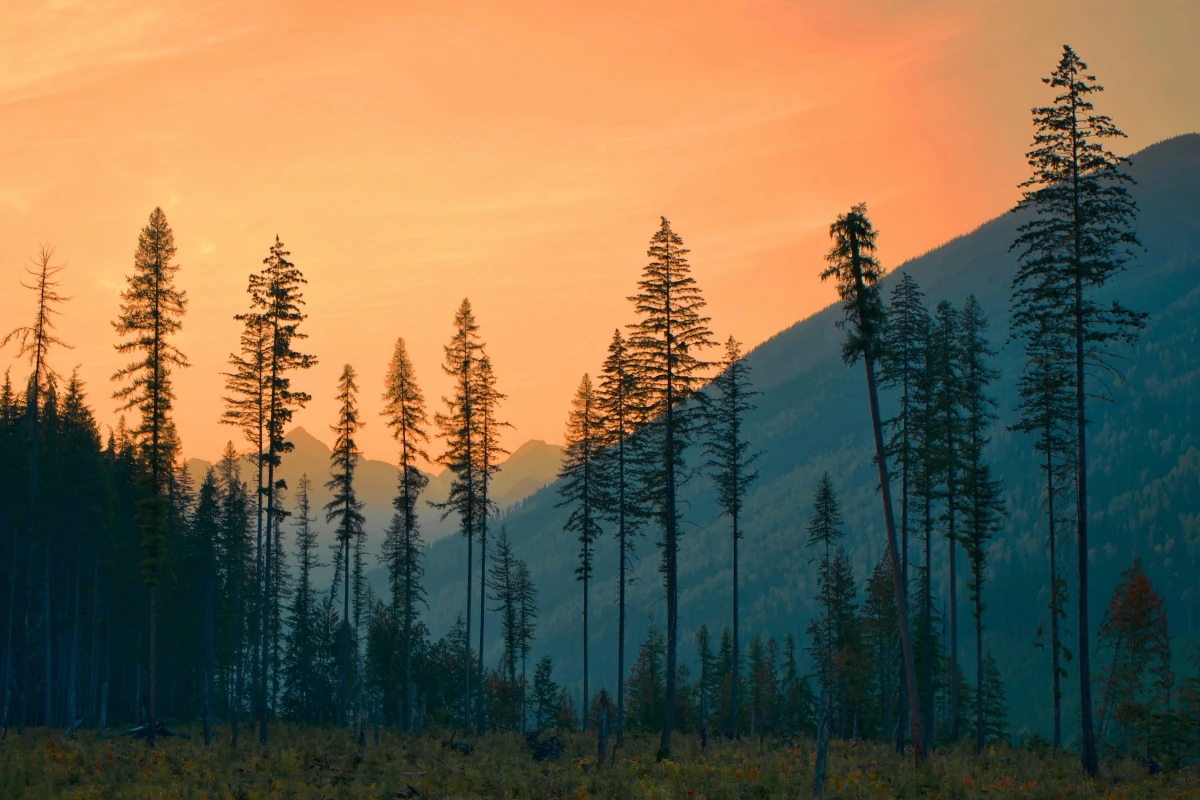 Kootenays region landscape